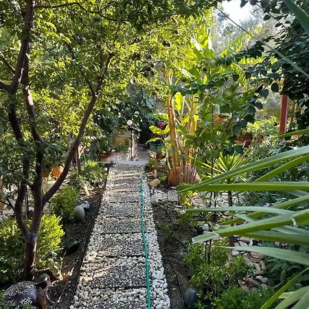 Palmiye Evi Konukevi *