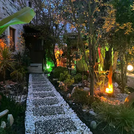 Palmiye Evi بيت ضيافة