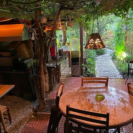Palmiye Evi Maison d'hôtes *